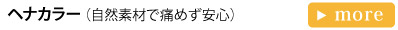 ヘナカラー(自然素材で痛めず安心)